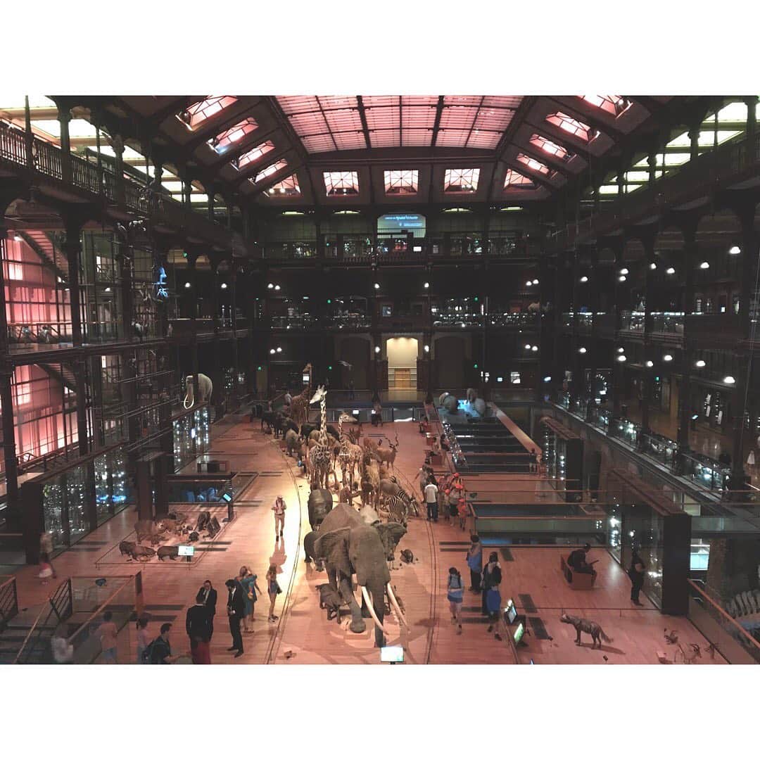 のインスタグラム：「5区の grande galerie de l’évolution。 圧巻の動物たちの剥製とレプリカの大群が美しい場所。 こういう博物館を子供向けに作らないところが良いなと思う。  剥製好きな私の3区の狩猟博物館に並んで好きな空間なのです。  娘は巨大な像やカバを目の前に怖い怖いと泣いていたけれど。 #grandegaleriedelevolution #paris #favoriteplace #5emearrondissement #パリ」