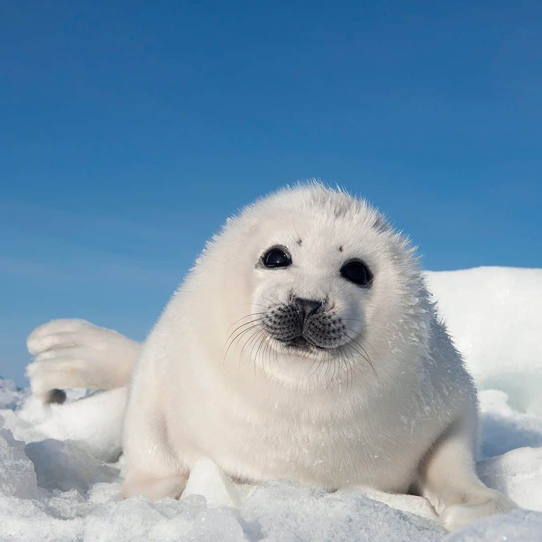 National Geographic Travelのインスタグラム