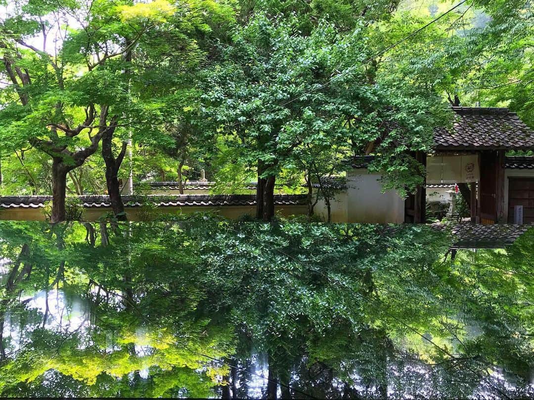 西口真央のグルメインスタ