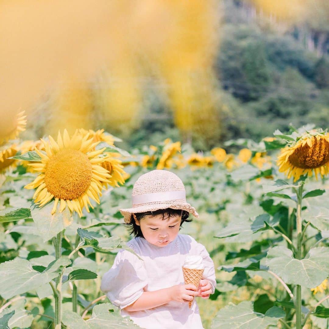 fuka_09さんのインスタグラム写真 - (fuka_09Instagram)「﻿ Sunflower﻿ ﻿ ﻿ ﻿ #fuka_familyphoto﻿ #sunflower﻿ ﻿ ﻿ ひまわりに負けない﻿ 笑顔が最高のきのちゃん ◡̈」8月4日 9時16分 - fuka_09