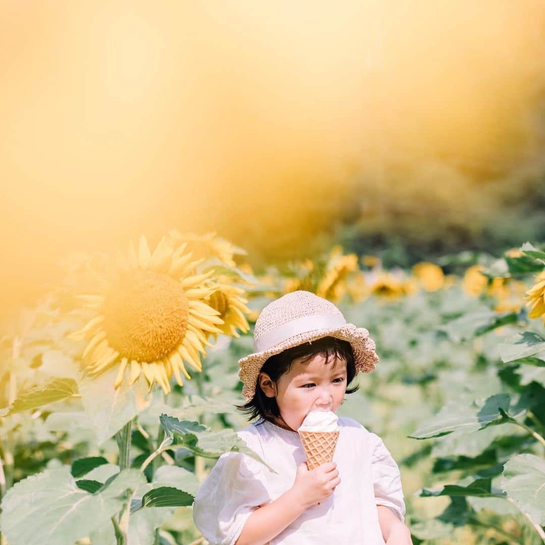 fuka_09さんのインスタグラム写真 - (fuka_09Instagram)「﻿ Sunflower﻿ ﻿ ﻿ ﻿ #fuka_familyphoto﻿ #sunflower﻿ ﻿ ﻿ ひまわりに負けない﻿ 笑顔が最高のきのちゃん ◡̈」8月4日 9時16分 - fuka_09