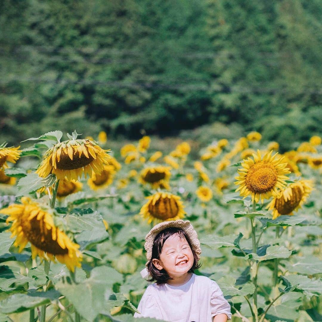 fuka_09さんのインスタグラム写真 - (fuka_09Instagram)「﻿ Sunflower﻿ ﻿ ﻿ ﻿ #fuka_familyphoto﻿ #sunflower﻿ ﻿ ﻿ ひまわりに負けない﻿ 笑顔が最高のきのちゃん ◡̈」8月4日 9時16分 - fuka_09