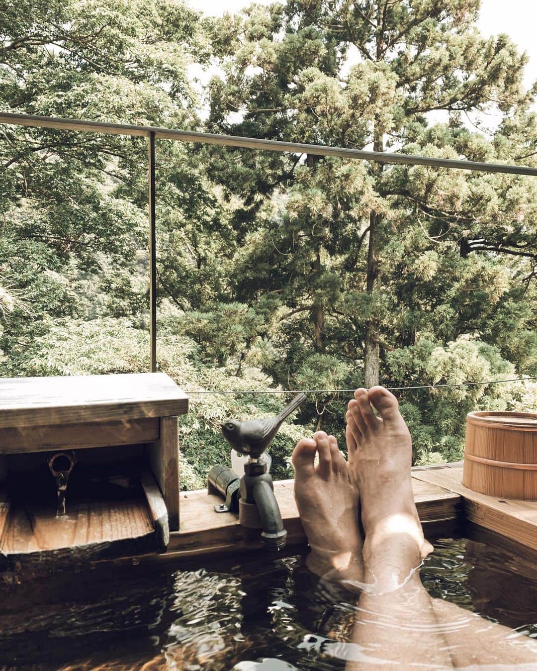 三浦大地さんのインスタグラム写真 - (三浦大地Instagram)「温泉で浄化。  やはり定期的に自然に触れないといかんな。  #箱根 #温泉 #♨︎ #静観荘」8月4日 9時34分 - daichi_1127
