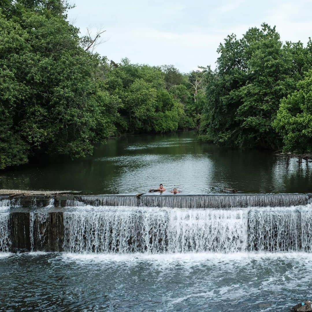 FOLKさんのインスタグラム写真 - (FOLKInstagram)「I may live in NYC, but Kentucky will always have my heart, Kentucky will always be home. Before life and love took me up North I spent so much of my time here in the bluegrass state. Next weekend my friends at @railbirdfestival are hosting the most amazing Americana/Folk music festival just outside Lexington. I’ve watched from afar as this event has come together and I’m so honored and excited that I get to share it with everyone everywhere else. If you know me you know about my obsession with @brandicarlile and her music and ugh everything she does. Lexington, bourbon, horses, and Brandi Carlisle....I cannot wait. Go follow @railbirdfestival and get your tickets like now.」8月4日 10時43分 - folkmagazine