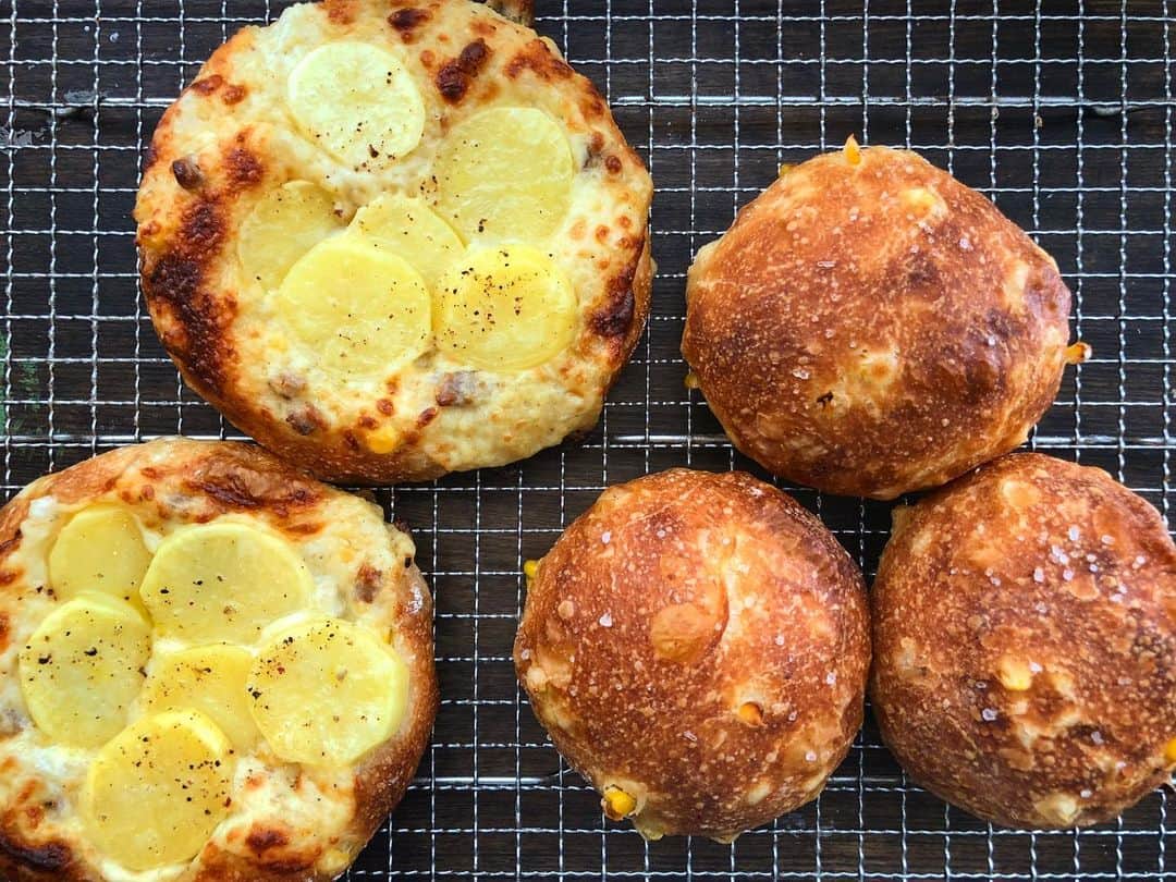 CHIPPRUSONのインスタグラム：「甘酒×とうもろこし の生地でコーン塩パン。豆乳、生クリーム、チーズで作ったベシャメルソースと十勝こがねを乗せたグラタンパン。」