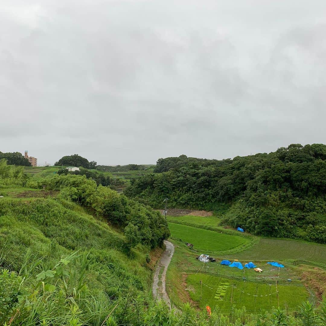 Sunshine Juiceのグルメインスタ