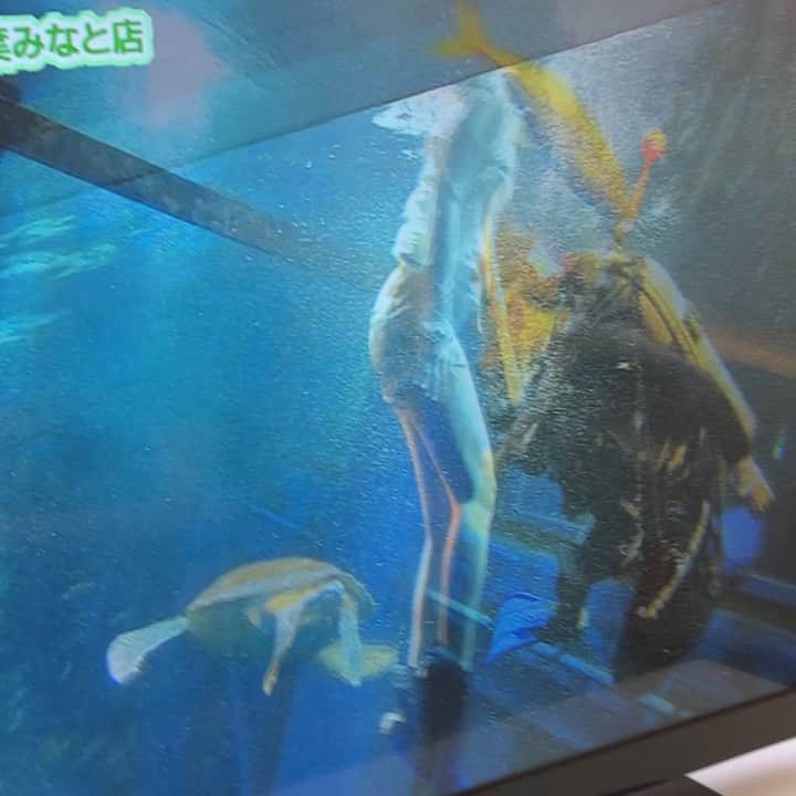 竹内里奈のグルメインスタ