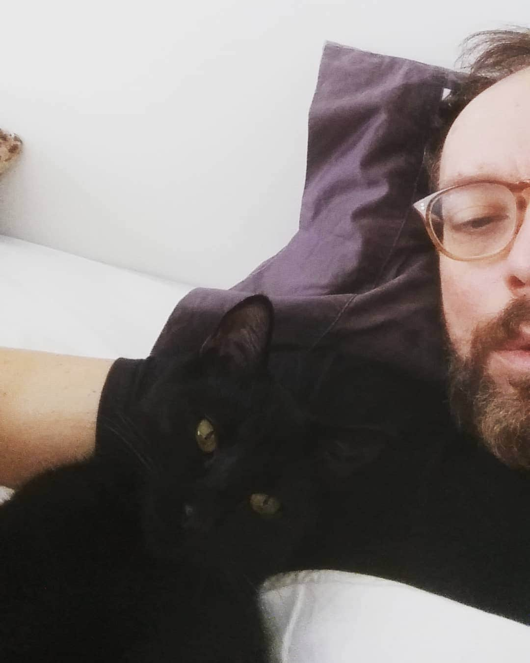 スティーブ・マウザキスのインスタグラム：「Bed ridden for a week now.  Max kept me some company」