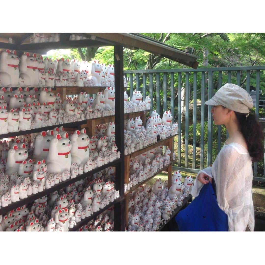竹中友紀子のインスタグラム：「#にゃんこ  招き猫発祥の地と言われている #豪徳寺 へ 招き猫がずらりと並ぶ奉納所にて 購入した招き猫を持ち帰り、願いが叶ったらこちらに返納するのだそう。 私もまめサイズの招き猫を持ち帰り、お部屋に飾っています^ ^  写真、よぉ〜く見ると目つむってる〜」