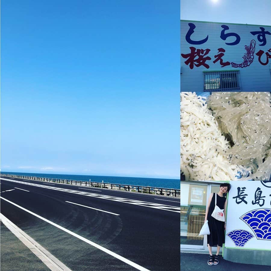 石川亜沙美さんのインスタグラム写真 - (石川亜沙美Instagram)「静岡市はいいねぇ。 ・ 清水駅前の旗を見上げ ☺️わたしもそう思う💕 と心で頷く。 ・ 自然たっぷり 静岡にて 今回もパワーチャージ💪 ・ 海も山も空も 本当にきれい 澄んだ色が 目に優しいね ・ 実家での夕飯 釜揚げシラス&とれたて生シラスの ハーフ&ハーフ 地元ならではの贅沢〜 最高でした🤤🍚🥢 ・ ・ #夏休み #帰省 #静岡 #☺️ #自然が好き #また行くね #💓🙏 #2019 #夏の思い出」8月4日 11時48分 - asamiishikawa1016