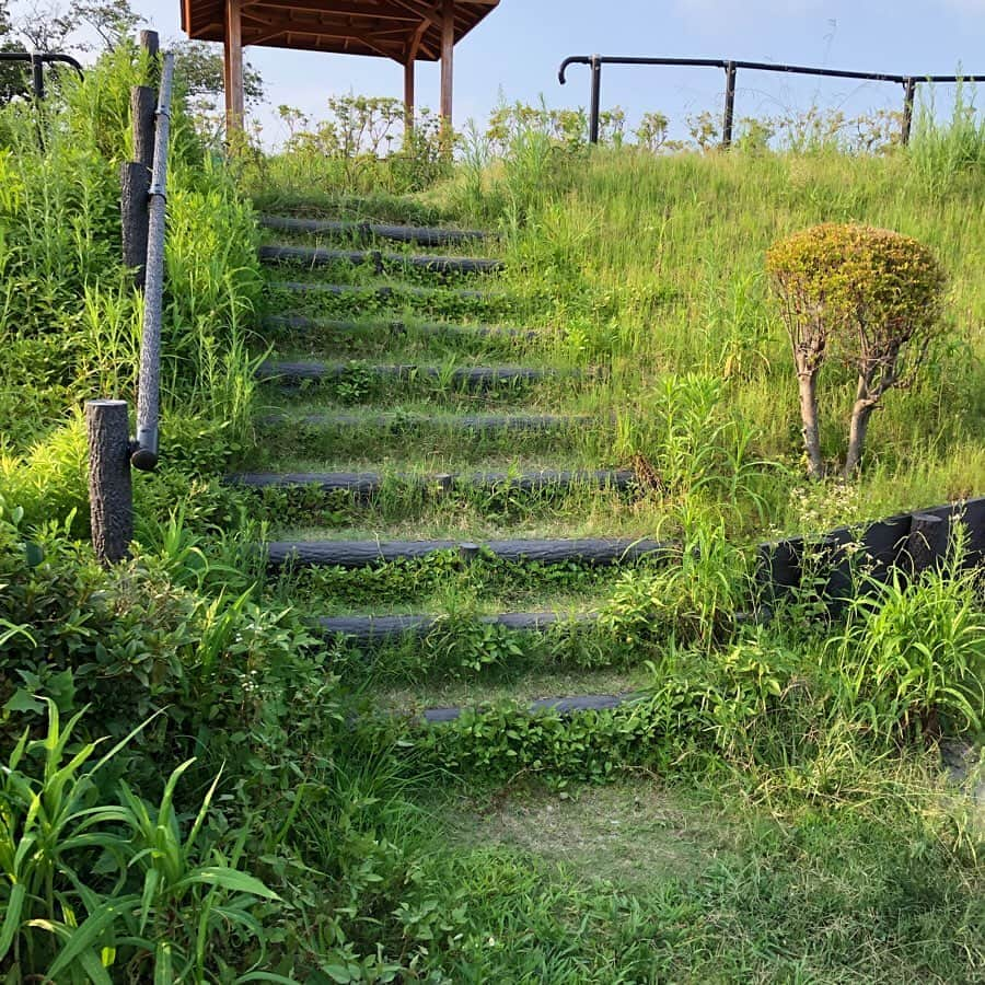 石川亜沙美さんのインスタグラム写真 - (石川亜沙美Instagram)「静岡市はいいねぇ。 ・ 清水駅前の旗を見上げ ☺️わたしもそう思う💕 と心で頷く。 ・ 自然たっぷり 静岡にて 今回もパワーチャージ💪 ・ 海も山も空も 本当にきれい 澄んだ色が 目に優しいね ・ 実家での夕飯 釜揚げシラス&とれたて生シラスの ハーフ&ハーフ 地元ならではの贅沢〜 最高でした🤤🍚🥢 ・ ・ #夏休み #帰省 #静岡 #☺️ #自然が好き #また行くね #💓🙏 #2019 #夏の思い出」8月4日 11時48分 - asamiishikawa1016