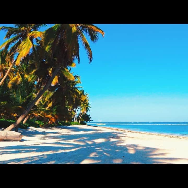 のインスタグラム：「. 本日、新曲をYouTubeにUPさせて頂きました〜 👍🏻✨ ハワイが好きすぎてハワイを感じられる楽曲を自ら作ってしまいました！ 曲名は「Waikiki」🌴🌺 夏らしいEDMとハワイアンミュージックをMIXさせた楽曲になりまして、是非ともYouTubeでもチェックして頂けましたら幸いです！ 全編は私のプロフィールからYouTubeに飛べます😁🔸 . . . 〔Waikiki コラボアーティスト KAYAプロフィール〕 DJとして最前線でシーンを牽引するダンスミュージックシーンの最重要人物。  これまでに数えきれない程のコンピレーション作品を制作しており、今までにEXILEやELT、GReeeeN、東方神起、AAA、UVERWORLDから、幅広いプロデュースワーク・監修、Remix等を手掛け、その作品が日本ゴールドディスク大賞公認アルバムに収録等、通算セールスはゆうに1000万枚を突破と怪物級の実績を誇る。 . I uploaded a new song on YouTube!!! The name of the new song is 「Waikiki」!!! Please enjoy the new Hawaii song 🌴🌺」