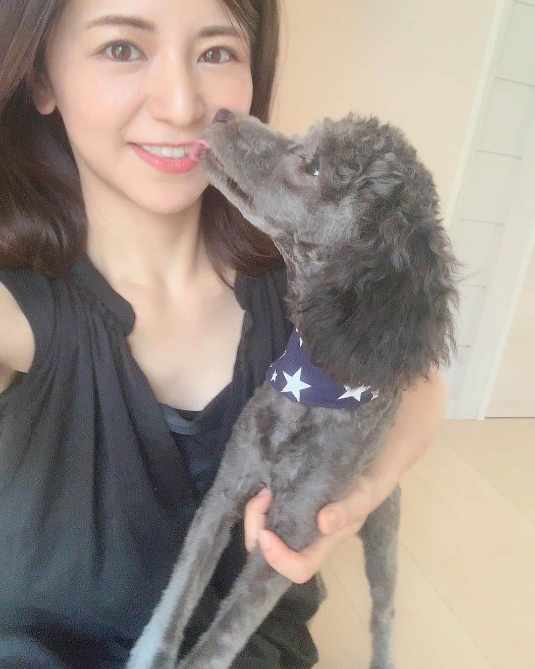 吉村優さんのインスタグラム写真 - (吉村優Instagram)「おはようございます☆ って、、 朝投稿できていなかったみたいなので 時差投稿😅 * 今日も朝から暑いので 涼しげな写真で💁‍♀️❤️ * 京都の竹山🎋♡ 竹って涼しそうで のびのびしていて、勇壮で好き〜😘 * そして 元気すぎるうちのワンコちゃん 動きまくるから まともに写真撮れない😭笑 * では、今週もパドック中継！ 今日のオープニングご挨拶は ディープインパクトのお話かな。。 初めて行った競馬場が 2005年菊花賞の京都競馬場🏇 その時の衝撃が、、 まさにインパクトが大きすぎて 一気に競走馬の魅力に惹かれたのを覚えています。 各メディアでの報道の大きさからも 偉大だった事を改めて実感しました。。 心よりご冥福をお祈り致します。 * 今日は、小倉記念で ディープインパクト産駒が ３頭出走予定ですね☺️ * #keiba #競馬 #deepimpact #ディープインパクト  #京都 #bamboo #kyoto #竹 #山城のたけのこ #わんこ」8月4日 13時17分 - yuyoshimura87