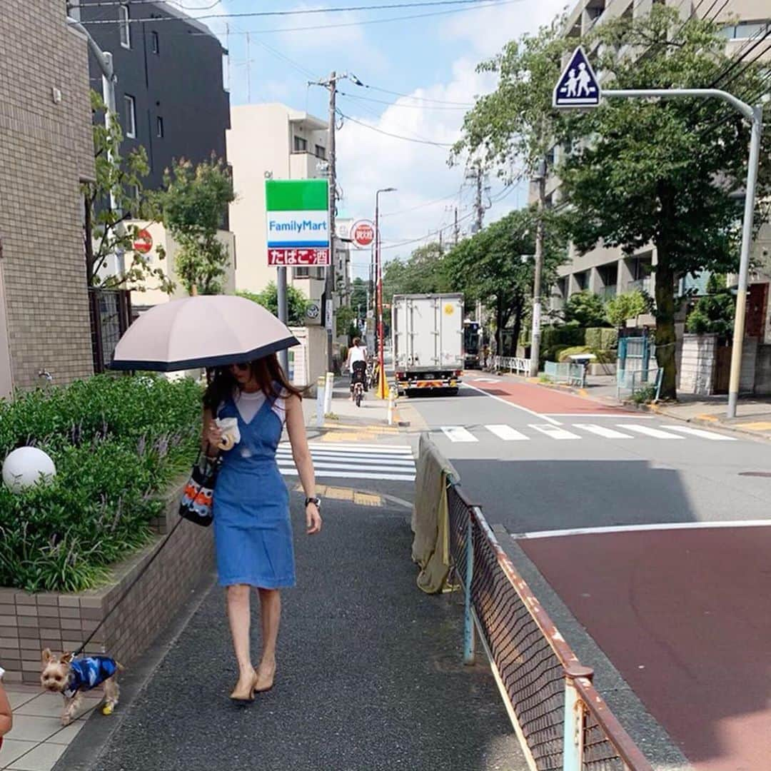 神崎恵さんのインスタグラム写真 - (神崎恵Instagram)「早朝のひとこま。 今日も朝から活動的。 トリミング🐶。 夕飯のお買い物。 早々に用を済ませてひといき中。  one-piece #stellamccartney  数年前のです。。 tops #drawer shoes #bottegaveneta bag #pierrehardy  日傘は #サンバリア100 ☂️」8月4日 13時51分 - megumi_kanzaki