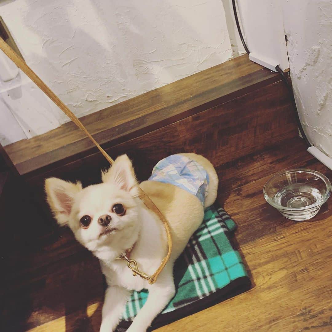 石田政博のグルメインスタ