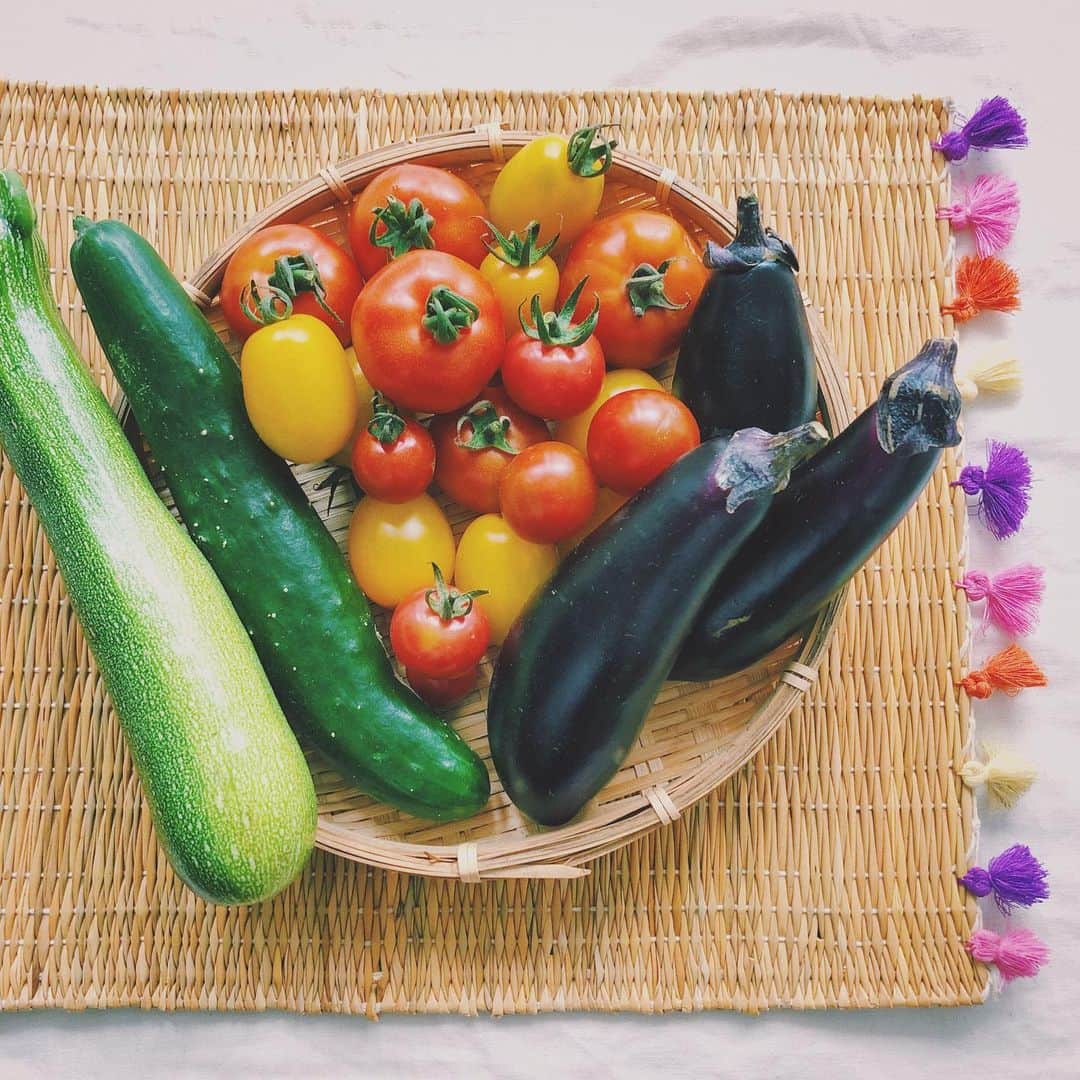 石野千尋のインスタグラム：「Fresh organic summer vegetables from my dad’s little farm. Yummy 😋💚 . 最近の主食は、父の育てている無農薬の夏野菜たち。他にもトウモロコシやインゲンなど😊 とれたて新鮮だから、本当においしい！ . #sunmer #vegetables #recipes #cooking #tomato #zucchini #cucumber#tomato #photographer #instafood #🍅 #🥒 #🍆」