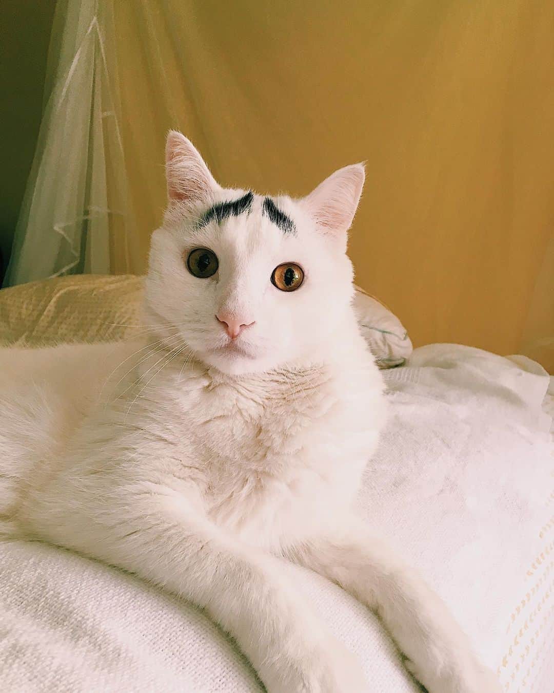 Samのインスタグラム：「What you actually look like when you type ‘lol’」