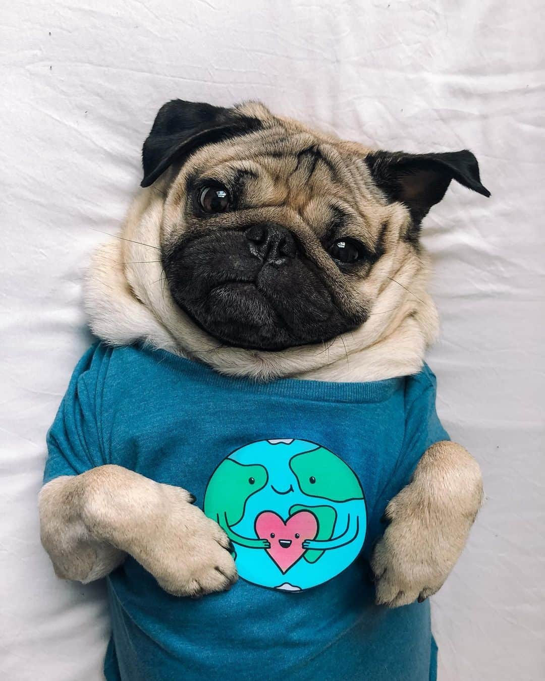 itsdougthepugさんのインスタグラム写真 - (itsdougthepugInstagram)「“‪Our World needs a lot of love today” -Doug」8月5日 1時30分 - itsdougthepug