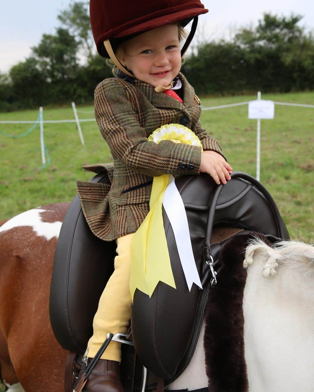 サム・フェアーズさんのインスタグラム写真 - (サム・フェアーズInstagram)「Mummy is so so proud of you Rosie. 3rd place at the North Mymms Riding Club today 👏🥉😘 3rd place qualified Rosie & Toffee to compete at the Royal London Show in September 🤗 i bring Rosie along to the shows for the fun & experience, but she’s doing so well I can’t believe it 👏 bring on September Rosie & Toffee x」8月5日 1時47分 - samanthafaiers