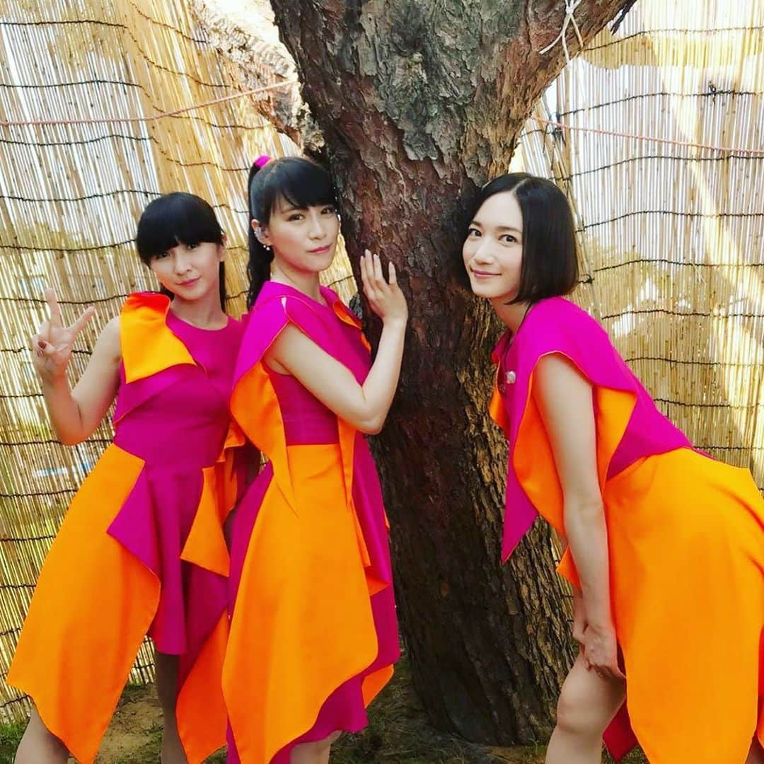 Perfumeさんのインスタグラム写真 - (PerfumeInstagram)「So excited to share the Perfume The Best "P Cubed" album covers with you 🎶 For more information, visit our new best album special website! See you at the dome tour in Feb., 2020!  9月18日(水)に発売されるベストアルバム「Perfume The Best “P Cubed”」のジャケット写真が公開！ベストアルバムの特設サイトもオープンしました！ http://bit.ly/31clX2N  そして2020年2月には、大阪・福岡・名古屋・東京と全国4大ドームツアーを行います！！ #prfm #PCubed #prfmBest」8月4日 17時01分 - prfm_official