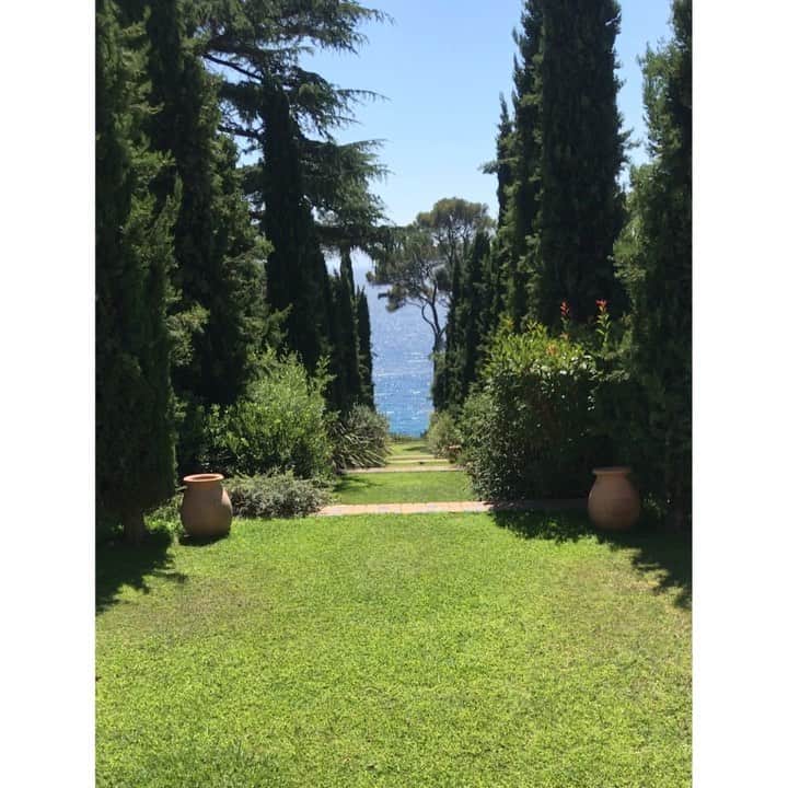 アレクシマビーユのインスタグラム：「Riviera delights @alexismabille #riviera #southoffrance #seagarden #garden #seaside #tothebeach #morningjoy #blueskye #tothesea #holidays #familytime #capbrun」