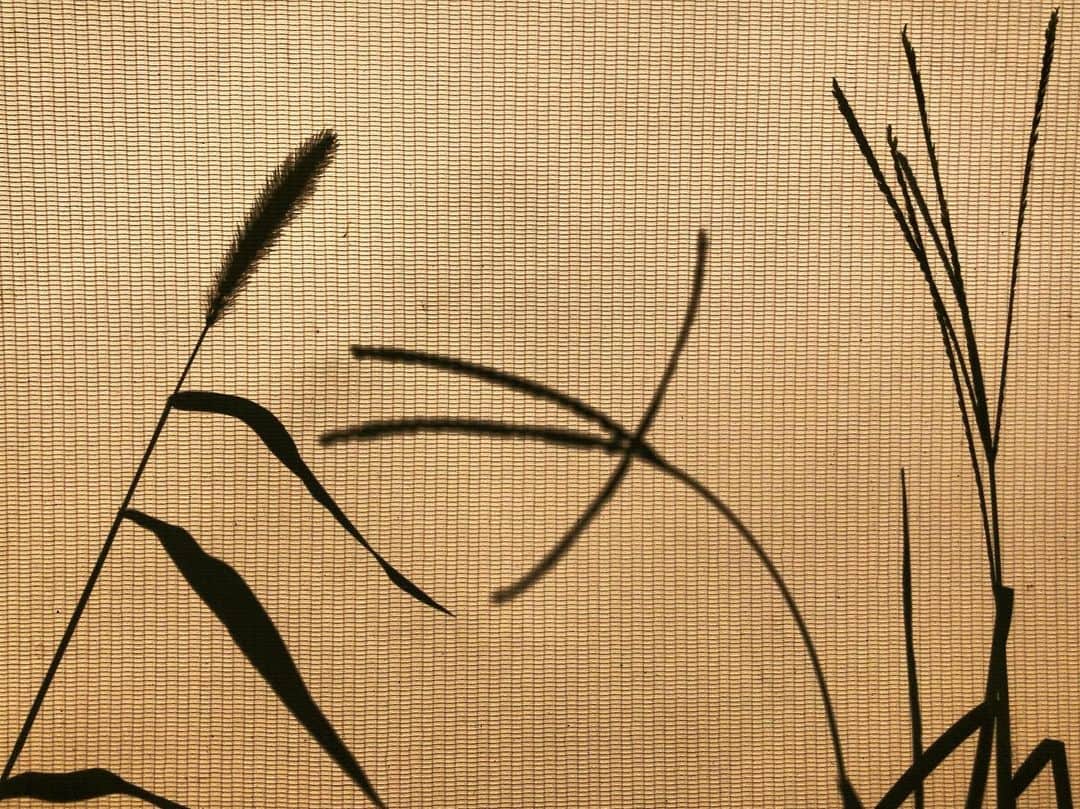 宍戸開のグルメインスタ