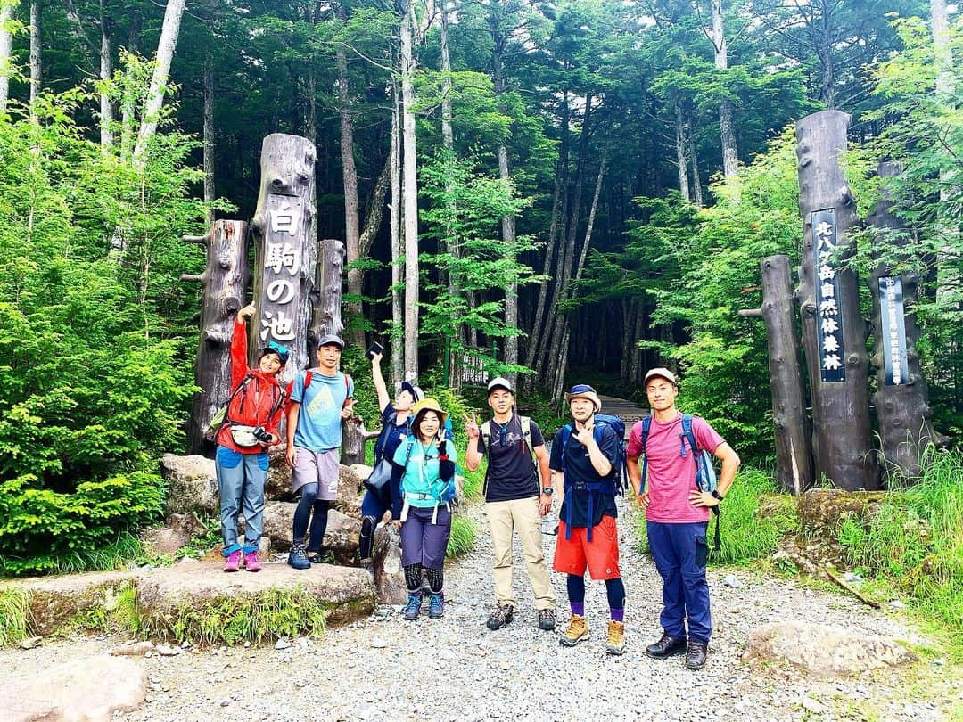 田中幸さんのインスタグラム写真 - (田中幸Instagram)「苔の森で過ごす オトナの夏休み  @marmot_japan  @marmot #白駒荘 @shirakomaso」8月4日 17時59分 - sachitanaka