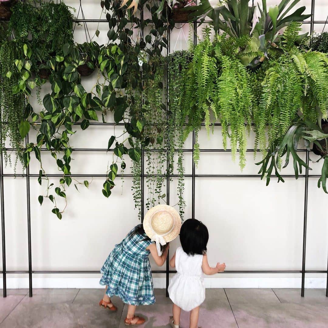 美生のインスタグラム：「👧🏻🧒🏻﻿ ﻿ ケンカ多めな日曜日🤷🏻‍♀️🤷🏽‍♂️﻿ 仲良くしてって500回くらい言うたわ😂﻿ ﻿ すぐ仲直りするから﻿ よしとしよう🙆🏻‍♀️🙆🏽‍♂️﻿ ﻿」