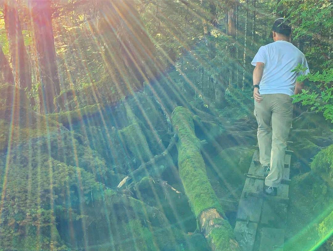 田中幸さんのインスタグラム写真 - (田中幸Instagram)「Marmot夏旅ツアー⛰ コロコロ変わる山の天気を体験 濃くて楽しくて最高でした！！ 何よりみんな最高ーっ♫ オプションの 夜の星空ツアーも 凄いクオリティで 素敵でしたっ  白駒荘の星空ツアー めーっちゃオススメです⭐️ @marmot_japan  @marmot  #白駒荘  @shirakomaso」8月4日 18時12分 - sachitanaka