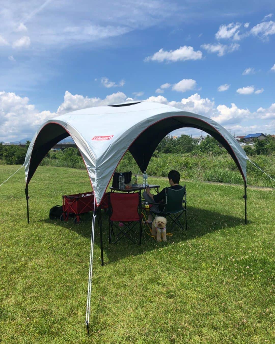 Coleman Japanのインスタグラム：「＼強い日差し🌞もブロック！／ “ダークルーム™️ テクノロジー”のシェードで涼しく快適🐶 ・ 📷： @mj.komugi さん 素敵なお写真ありがとうございました✨ ・ ━━━━━━━━━━━━━━━ #私のコールマン を付けて投稿して頂いた中から素敵なお写真は、コールマン公式SNSでご紹介させて頂きます♪ ━━━━━━━━━━━━━━━」