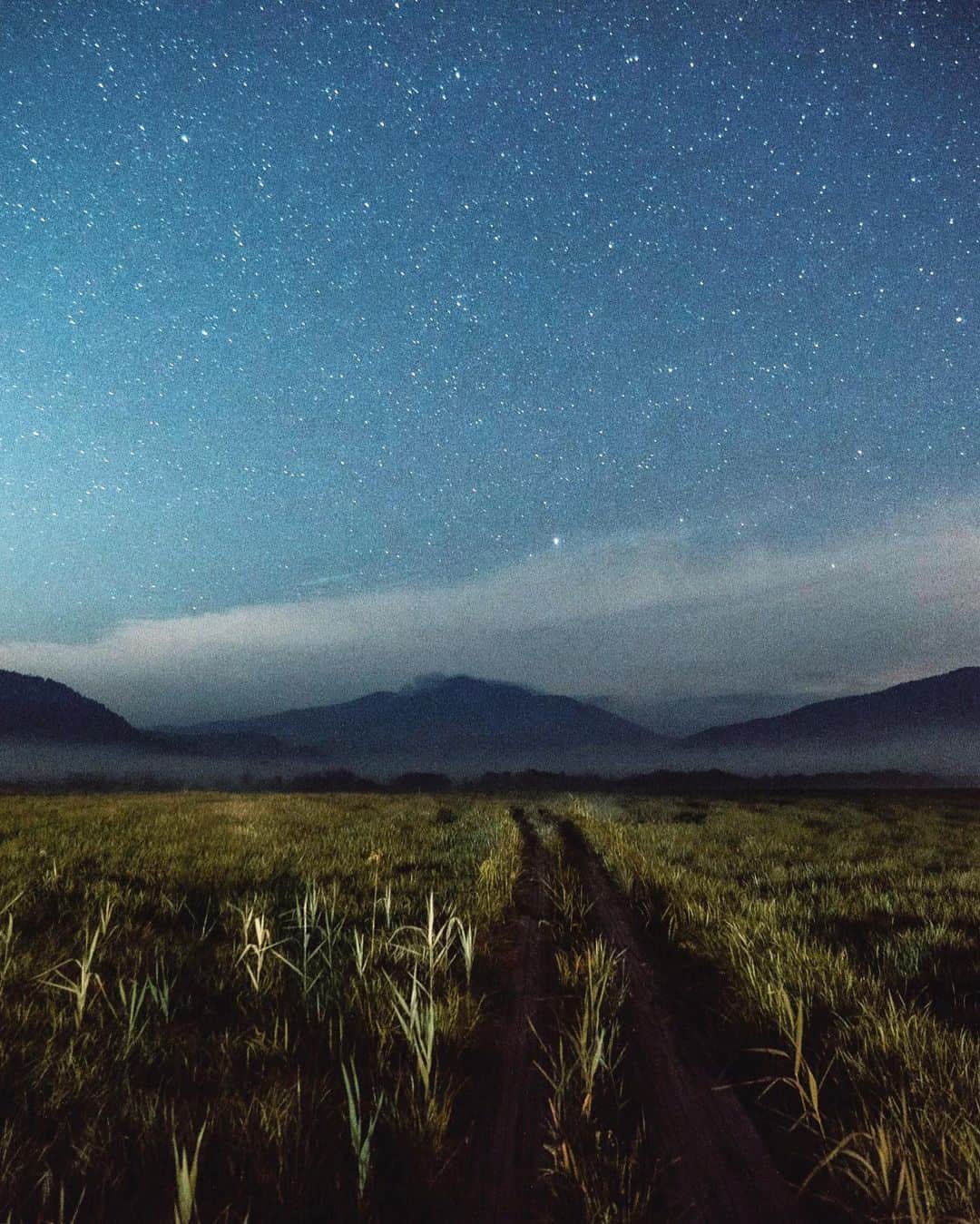 masayaさんのインスタグラム写真 - (masayaInstagram)「Oze National Park  静寂と闇に包まれた尾瀬ヶ原に立っていると、時折、涼しい風が夜霧と共に通り過ぎる。満天の星空と微かなホタルの光。後ろの山小屋以外、人工物や灯りは一切見えない。何て心地いい空間なんだろう。これでまたひとつ尾瀬が好きになった。 地表の明るさは弥四郎小屋のわずかな灯りを拾ったもので、実際は真っ暗に近い。 #尾瀬 #尾瀬ヶ原 #星 #星空 #至仏山 #japan」8月4日 19時02分 - moonlightice