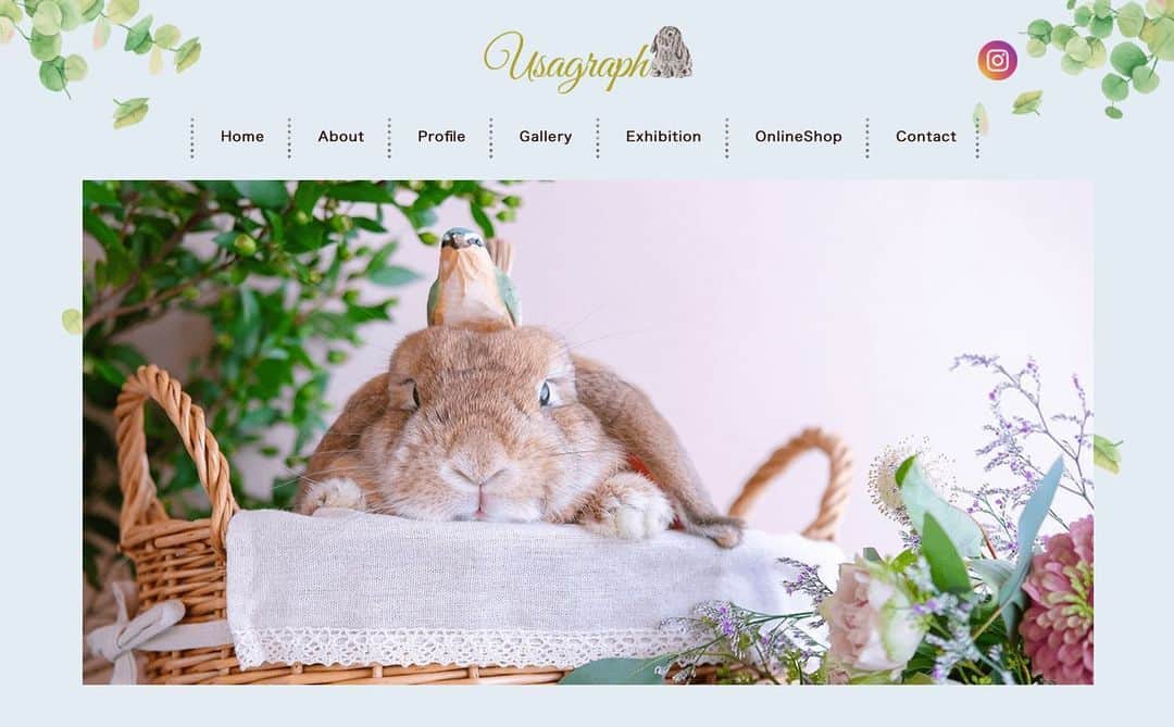 のインスタグラム：「ひっそり進行していたわたくしusagraphのポートフォリオサイトが完成しました！ かなりこだわって作った渾身のHPになっております😂  もちろんスマホでもみれますが、PCがおススメです❤️ ぜひのぞいてみてくださいね✨ プロフィールのリンクからも飛べます！  これに合わせてうるうるツヤツヤな名刺に新調しました❤️ #うさぎしんぼる展in浦和 の私の物販コーナーに置いておくのでぜひ貰ってってくださいね♫  https://usagraph.com  #うさぎ #rabbit #bunny #ふわもこ部  #WeeklyFluff #igersjp  #tokyocameraclub #東京カメラ部  #神戸カメラ部  #bunnystagram  #myfujilove  #今日もx日和 #うさぎ部 #ホーランドロップ #hollandlop  #ファインダー越しの私の世界 #art_of_japan #aoj_bokeh」