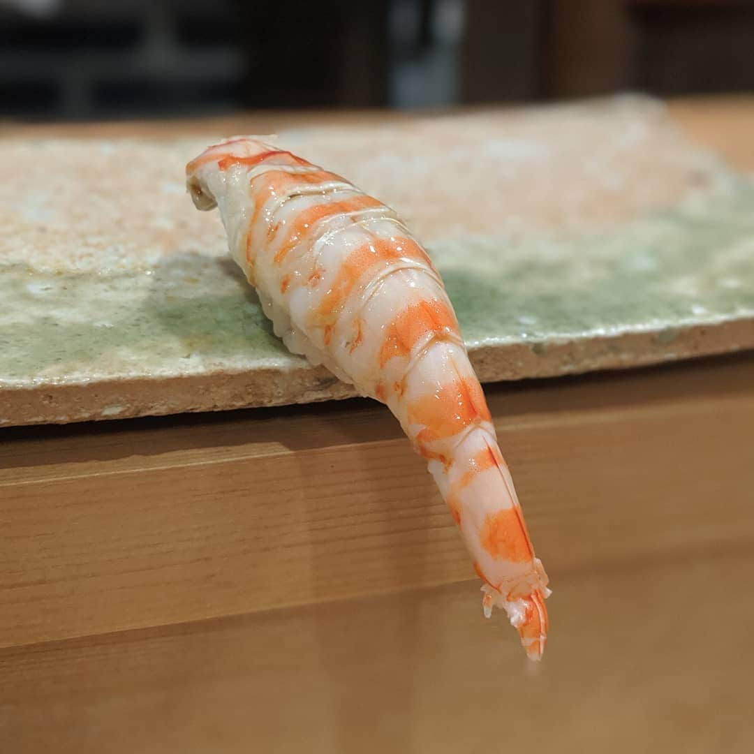 Masayasu Moritaのインスタグラム：「#名物 #天本置き #海老 #shrimp #signiture #麻布グルメ #tokyo #東京 #鮨 #sushi #もりたま飯 #foodie #foodgasm #foodphotography #foodstagram #美食 #delicious #tasty #instafood #グルメ #food #yummy #foodporn #デリスタグラマー #グルメな人と繋がりたい #寿司好きな人と繋がりたい」