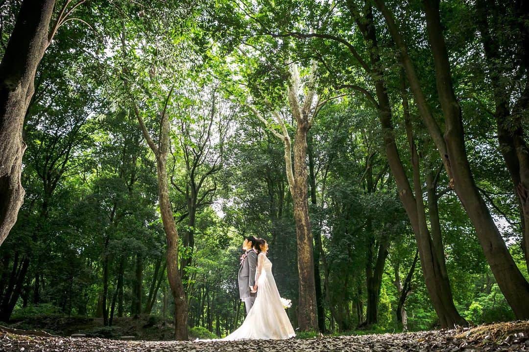 ザ･リーヴス プレミアムテラスさんのインスタグラム写真 - (ザ･リーヴス プレミアムテラスInstagram)「森の中でのショット🌲 鮮やかなグリーンにウェディングドレスも映えます♪  #群馬#高崎#前橋#ザリーヴスプレミアムテラス#結婚式#結婚式場#群馬結婚式#ウエディング#プレ花嫁#日本中の花嫁さんと繋がりたい#カップルグラム#カップル#カップルフォト#プロポーズ#wedding#チャペル#ナチュラルウエディング#instagood#卒花レポート #ウェディングレポ #前撮り #ロケーション撮影 #森 #グリーン」8月4日 20時47分 - the_leaves_premium_terrace