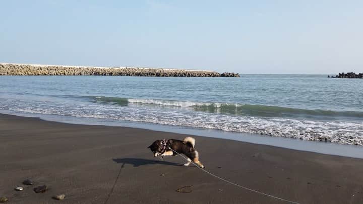 吾子のグルメインスタ