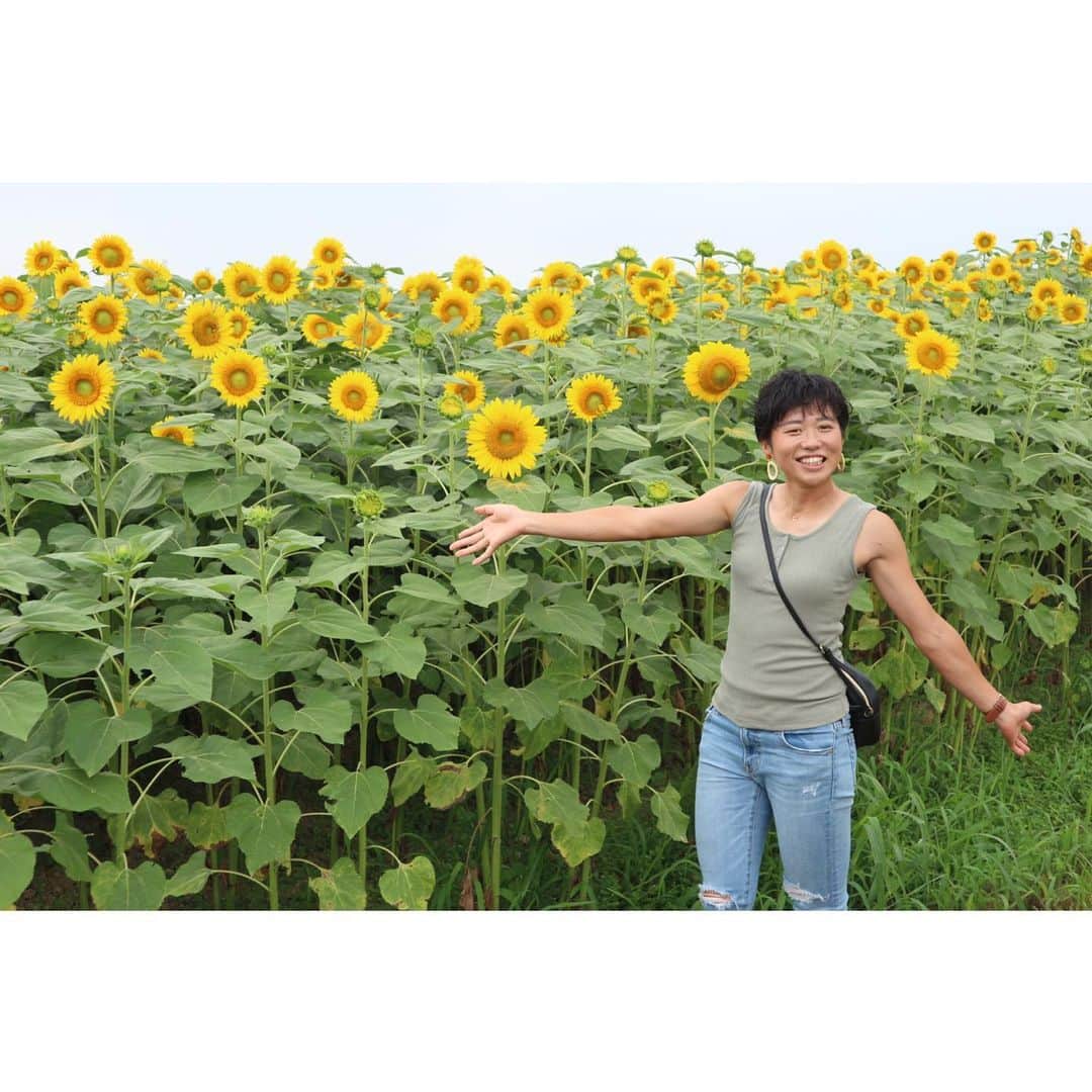 狩野真美さんのインスタグラム写真 - (狩野真美Instagram)「. 🌻🌻🌻 . . . My favorite flower ✅ . . .」8月4日 20時45分 - mami____dayo