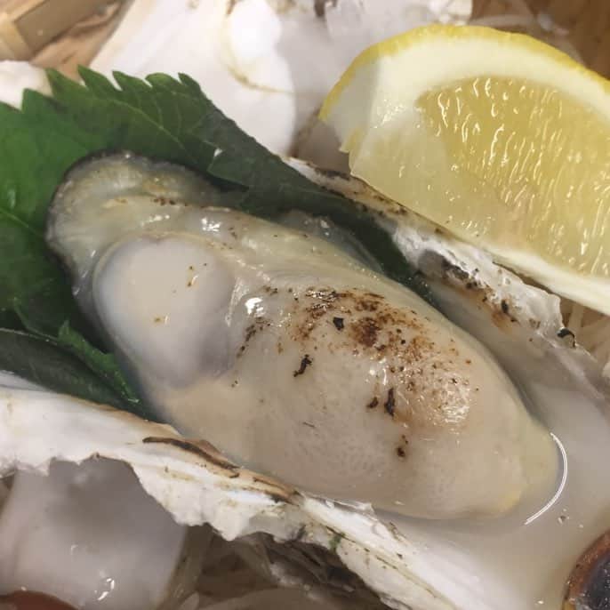 鶏魚 谷町のインスタグラム：「鶏魚です！しーちゃんです🎶 当店の牡蠣は新鮮さが命！ 生はもちろん、蒸しや焼きもできますよ♡ #新鮮な魚介 #生牡蠣 #鶏魚 #大阪 #谷町四丁目 #駅近 #セルフ飲み放題 #地域最安値 #コース #座敷 #個室 #貝盛り放題 #ガンガン焼き #あさり #はまぐり #ホンビノス貝 #牡蠣 #さざえ #飲み会 #女将」