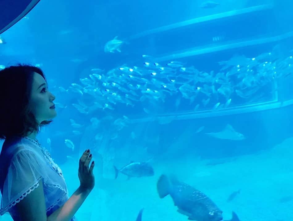 chayさんのインスタグラム写真 - (chayInstagram)「海遊館⛱ 水族館何年ぶりだろう🐠✨ #大阪 #天保山 #海遊館  #aquarium #fish #sea  #chesty #onepiece」8月4日 21時45分 - chay1023_official
