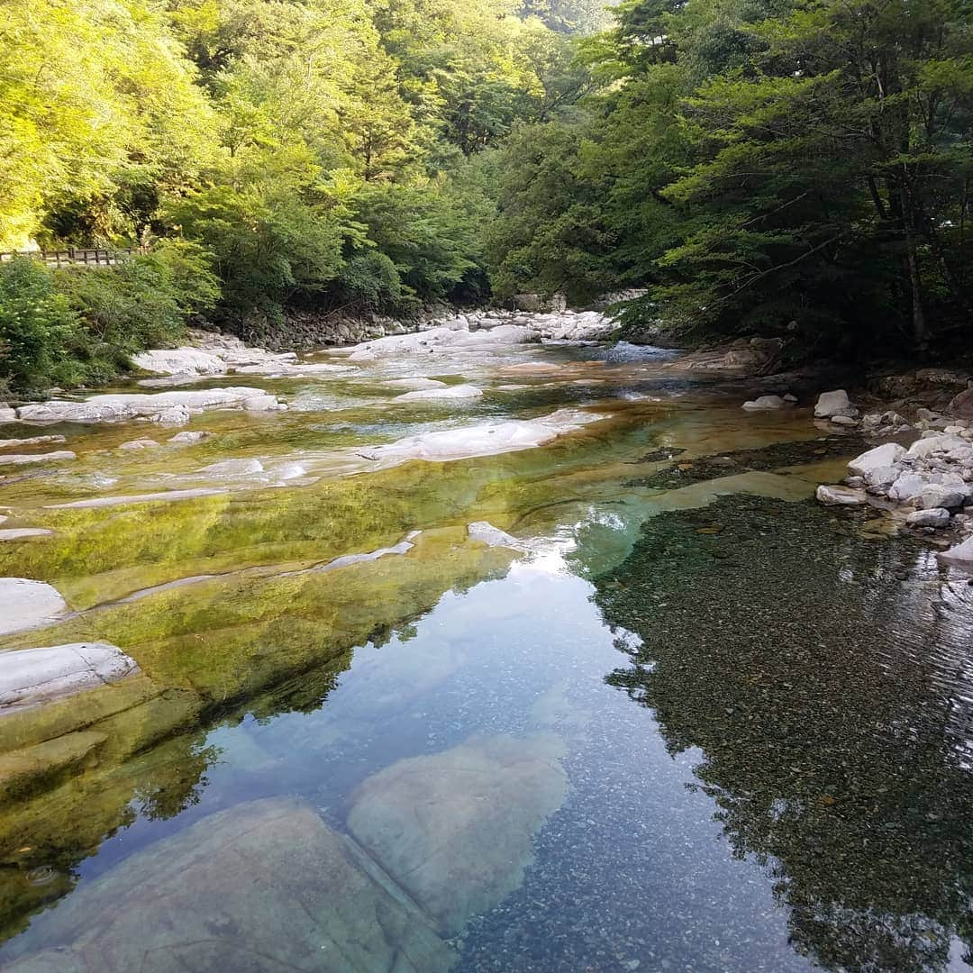 田畑竜介さんのインスタグラム写真 - (田畑竜介Instagram)「キャニオニング✨  日本最青との呼び声高い 仁淀川の源流・面河渓✨  高知では仁淀川だけど、 源流は愛媛県で、面河川と呼ばれる✨  仁淀ブルーと呼ばれる神秘の水は ここ面河渓に端を発する✨  エメラルドグリーンの水と 思いっきり戯れました💃  写真には撮れなかったけど、 6mほどの崖から飛び込んだり、 天然のウォータースライダーを滑ったり、 緩やかな流れに身を委ねたり🎶  自然と戯れて、心身リフレッシュ✨  #愛媛県 #面河渓  #キャニオニング #仁淀ブルー」8月4日 22時29分 - tabacchi_rkb