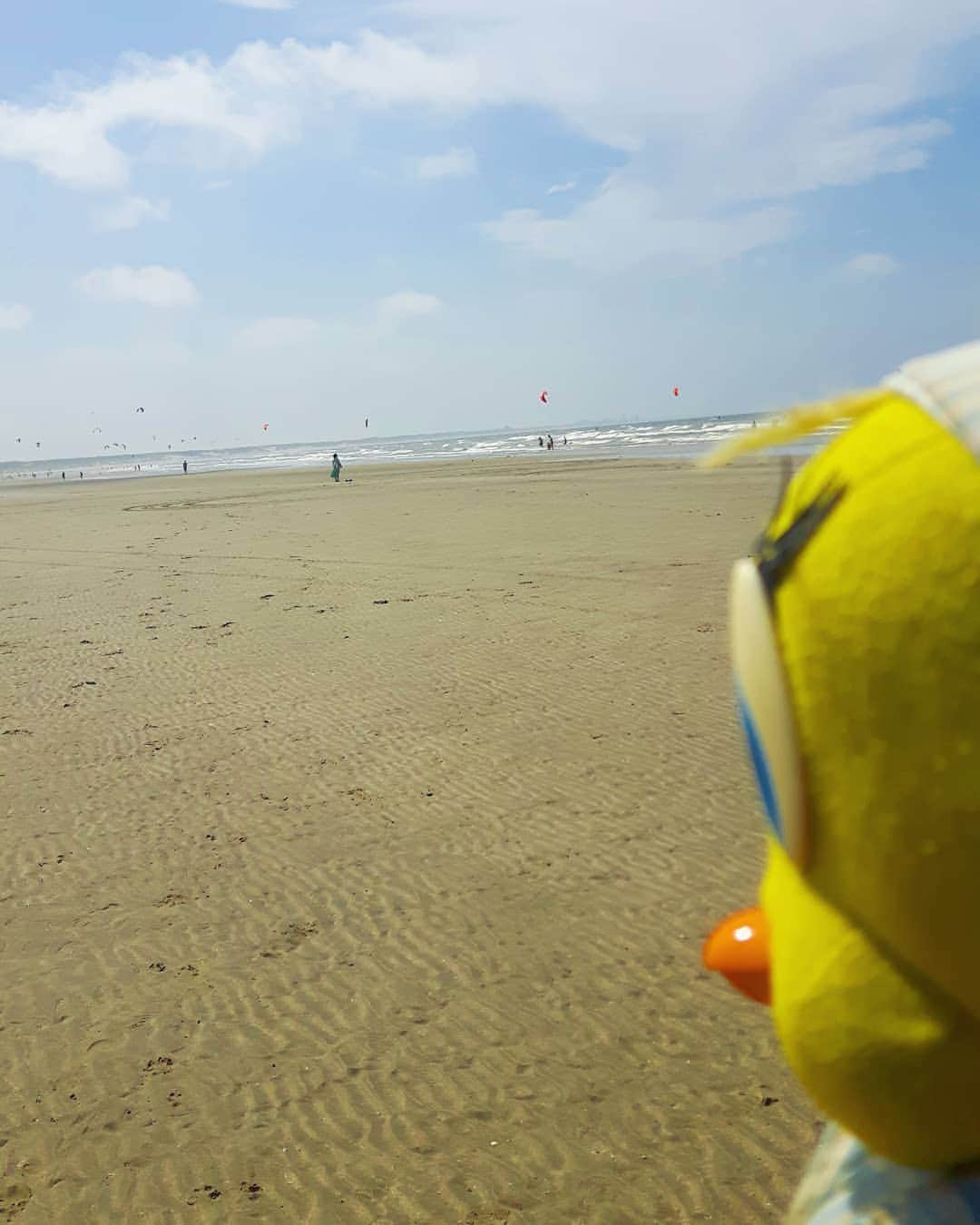 Little Yellow Birdさんのインスタグラム写真 - (Little Yellow BirdInstagram)「Life's a beach... #littleyellowbird #tweety #tweetykweelapis #adventures #yellow #bird #weekend #sunday #beach #beachday #sunnyweather #sun #sand #bluesky #clouds #noordzee #northsea #lifeisabeach #stuffedanimalsofinstagram #plushiesofinstagram」8月4日 22時39分 - tweetykweelapis