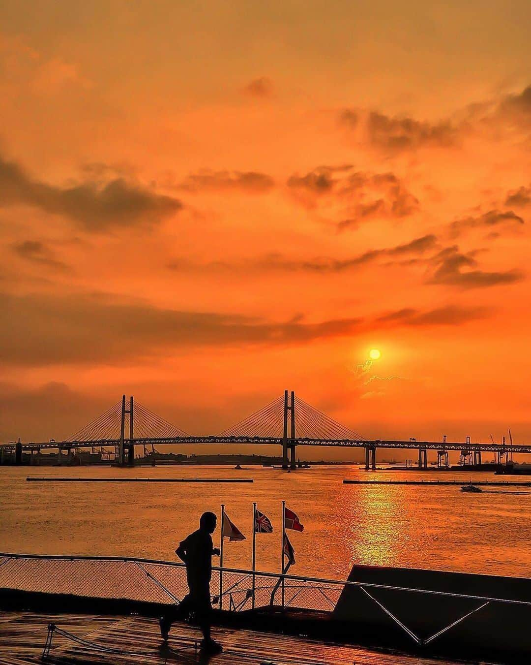 横浜市さんのインスタグラム写真 - (横浜市Instagram)「Sunday sun views. Photo: @y_m_26 #myyokohama」8月4日 23時09分 - findyouryokohama_japan