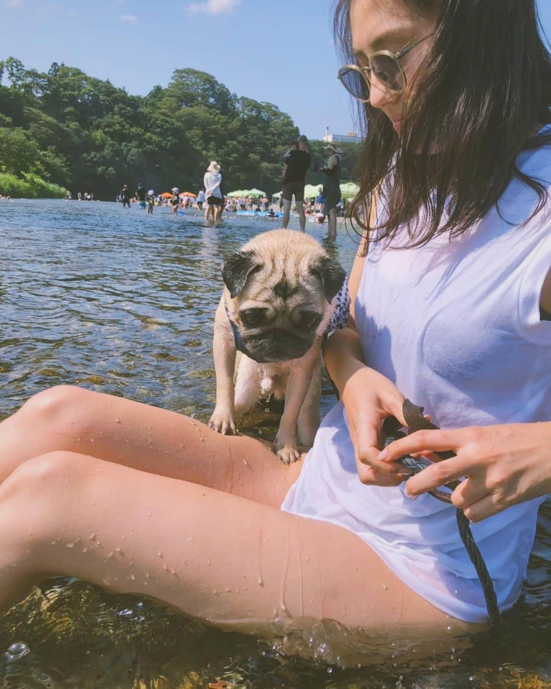 奈津美さんのインスタグラム写真 - (奈津美Instagram)「⌘ 川遊び 気持ちよすぎた 🐟 🏝 むぎと猛暑で遊ぶには 日陰のある冷たい川に限る！ . 都心から1時間くらいで行ける いい川 他にもないかな〜？🛸 ⌘ #river #tokyo #pug #puggy #mugi #love #あきる野市 #川あそび #パグ #むぎ #パグ界のイケメン #かぞくあそび #犬のいる生活 #まだまだ水はじくぜ」8月4日 23時46分 - natsumi_7.2.3