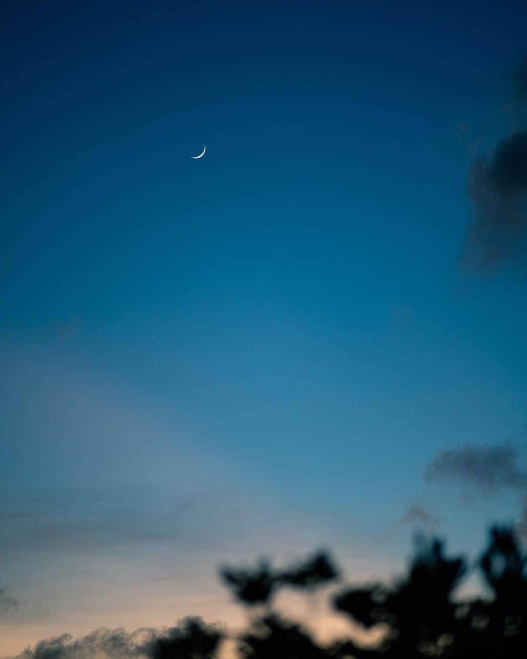 篠宮龍三さんのインスタグラム写真 - (篠宮龍三Instagram)「moon in the sky  #moon #sony #a7r3  #zeiss  #contax #contaxg90」8月4日 23時56分 - ryuzoshinomiya