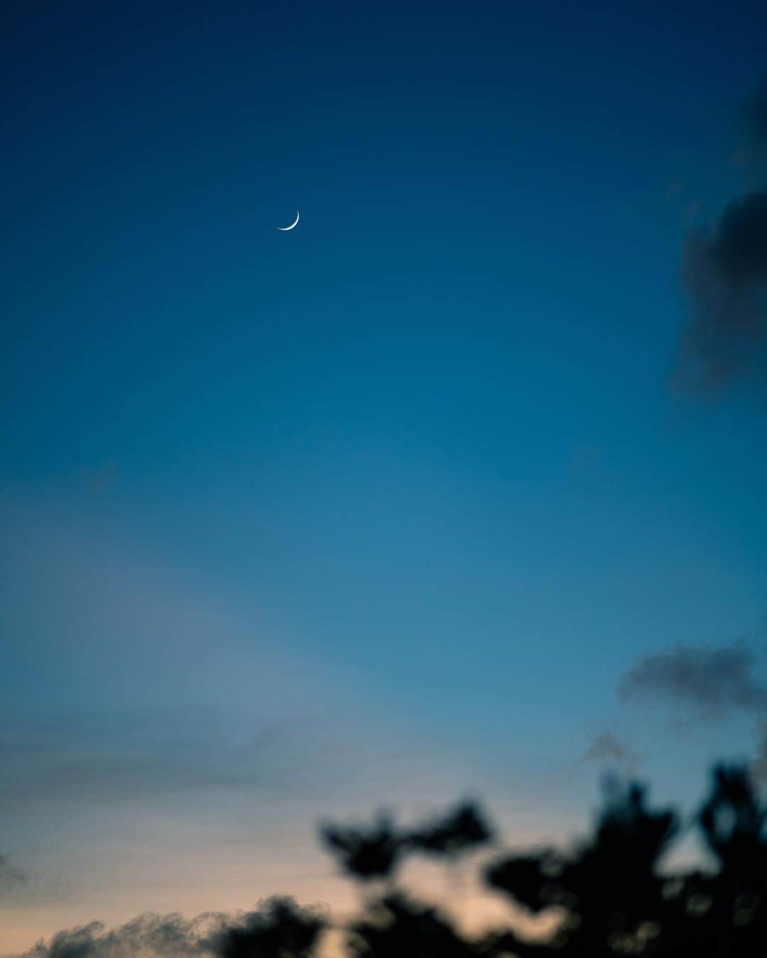 篠宮龍三のインスタグラム：「moon in the sky  #moon #sony #a7r3  #zeiss  #contax #contaxg90」