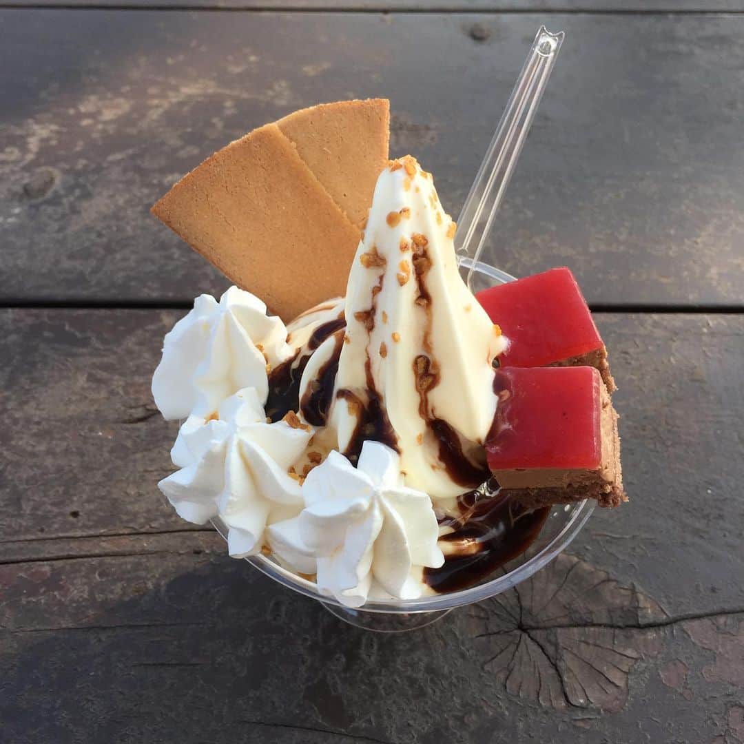 鈴木夏未さんのインスタグラム写真 - (鈴木夏未Instagram)「函館の景色 のどかでした ・ ソフトクリーム食べまくったし みそぱんも食べたよ♡ ・ ・ #函館 #ソフトクリーム #みそぱん」8月4日 23時58分 - natyumisuzuki