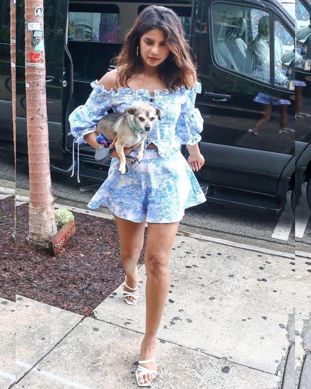 Just Jaredさんのインスタグラム写真 - (Just JaredInstagram)「@priyankachopra carries her pup @diariesofdiana while out for a girls day with @sophiet #PriyankaChopra #SophieTurner Photos: BackGrid」8月5日 10時09分 - justjared