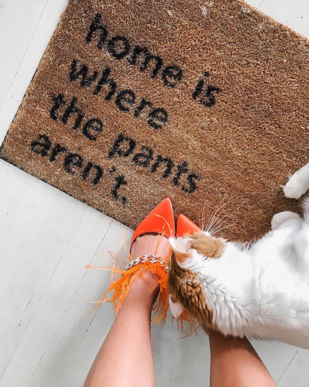 ウェンディー・グエンさんのインスタグラム写真 - (ウェンディー・グエンInstagram)「Home is where the pants aren’t and where the kitties are 😜 Swipe to see the full glory of these shoes 🧡」8月5日 10時32分 - wendyslookbook