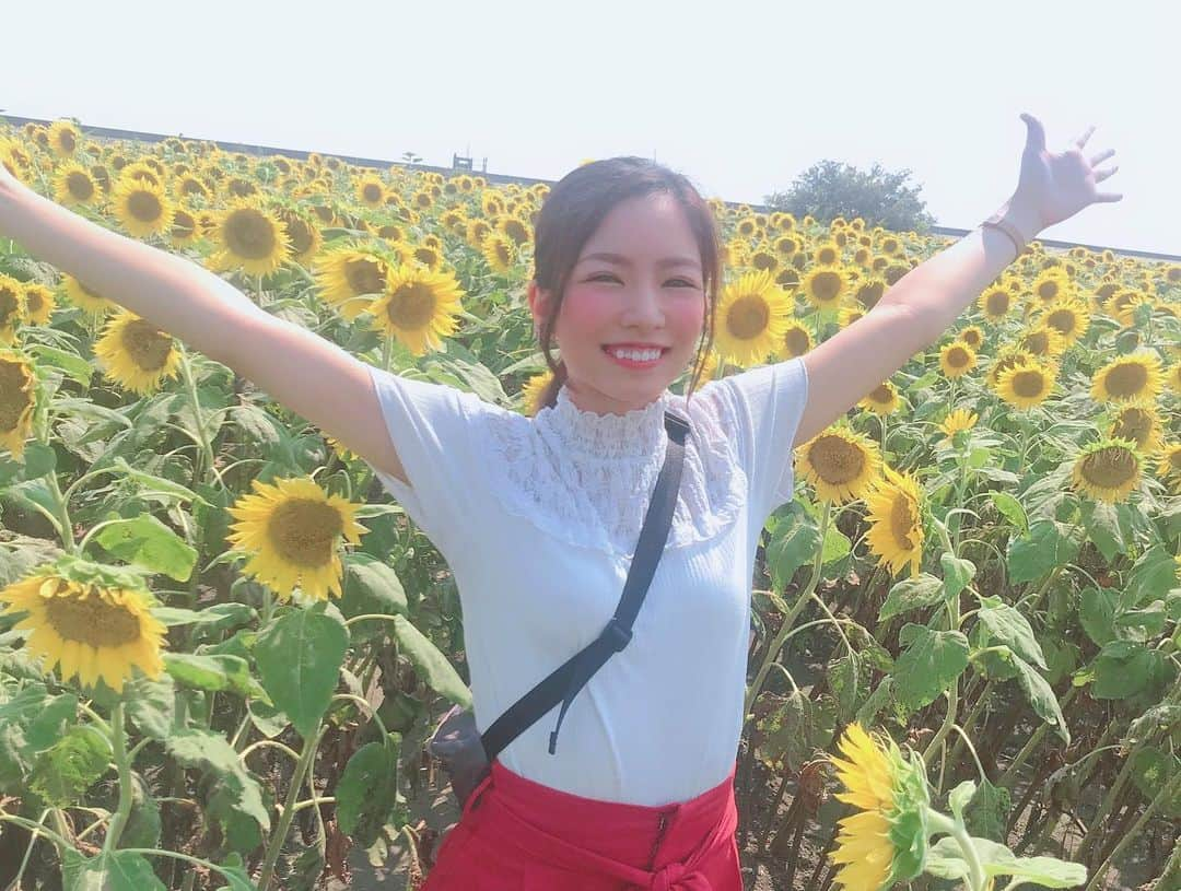 岸田麻佑さんのインスタグラム写真 - (岸田麻佑Instagram)「♡ 念願の #ひまわり畑 🌻 . . 今年はギリギリ見に行けました♫ . #柳川ひまわり園 #柳川観光」8月5日 10時40分 - mayu_kishimayu