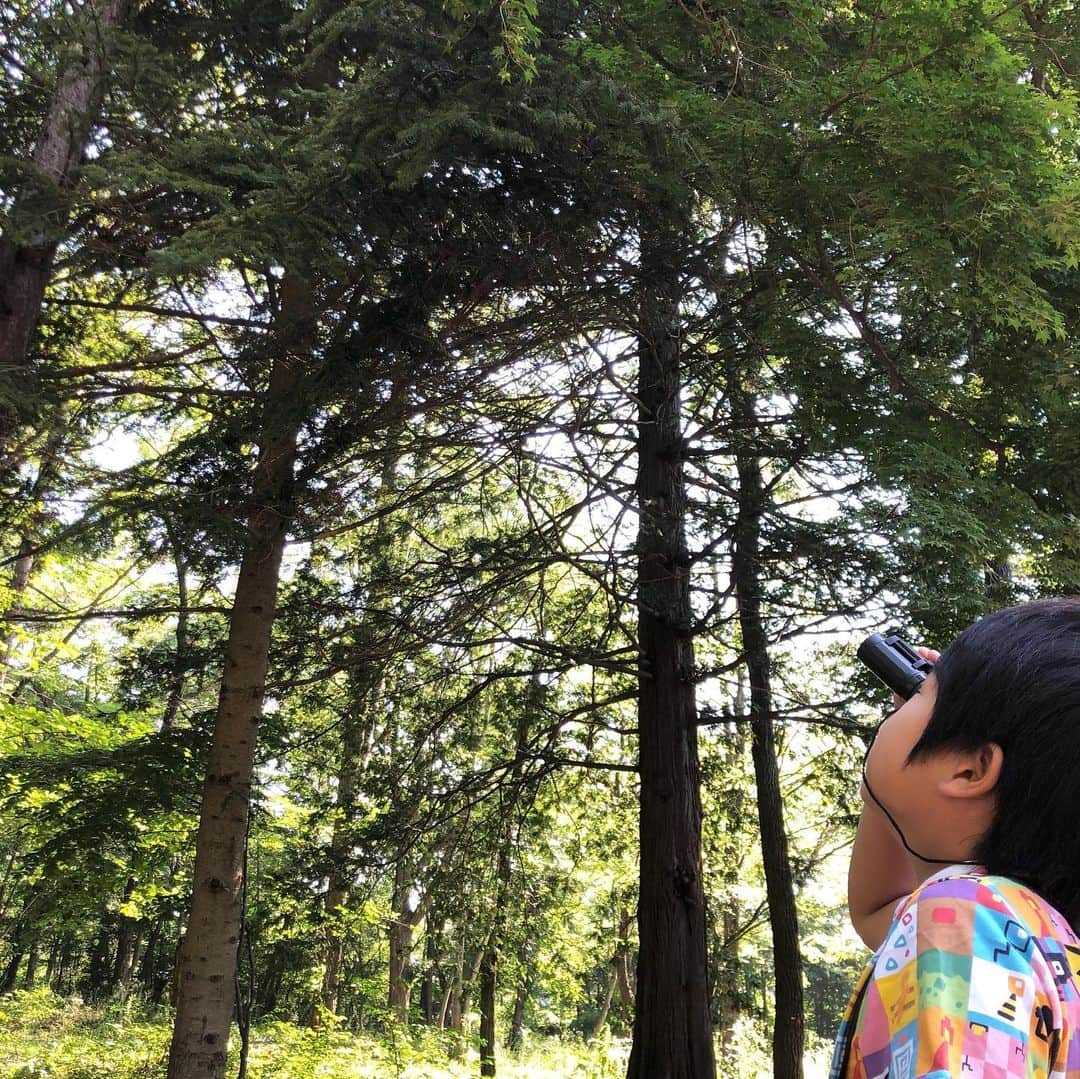 がっちゃんさんのインスタグラム写真 - (がっちゃんInstagram)「‪ダイソーの双眼鏡でバードウォッチング🦜✨‬ ‪がっちゃんは良く見えると言ってたけど近くも普通に良く見えるらしいw‬ ‪標高1000メートルの朝は涼しくて気持ち良いです🌱✨‬ #birdwatching #karuizawa #ダイソー #双眼鏡 #バードウォッチング #がっちゃん #がっちゃんねる ‬」8月5日 11時06分 - gacchannel