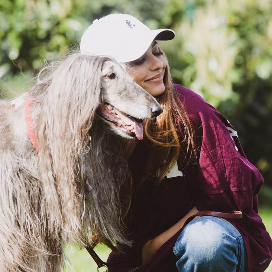 ジェイド・サールウォールさんのインスタグラム写真 - (ジェイド・サールウォールInstagram)「meet Iraida the Afghan hound. high maintenance, boujie bitch, hates being told what to do and has a banging blow dry. but enough about me. new episode of #MixItUp series is on YouTube now. 📸 @georgiegibbon」8月5日 2時35分 - jadethirlwall